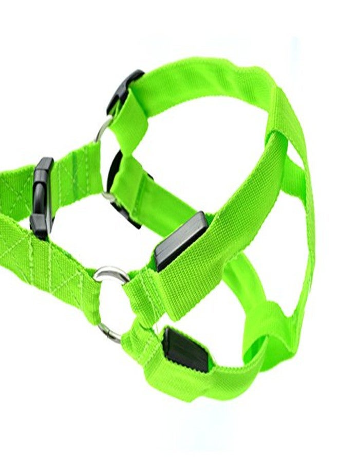 Futaba Dog LED Harness Flashing Light 3 Mode - Green - Extra Large - Image 3